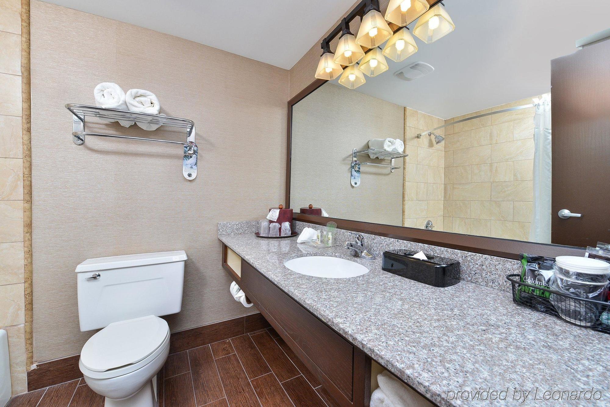 Hotel Chicago Conference Center, An Ihg Matteson